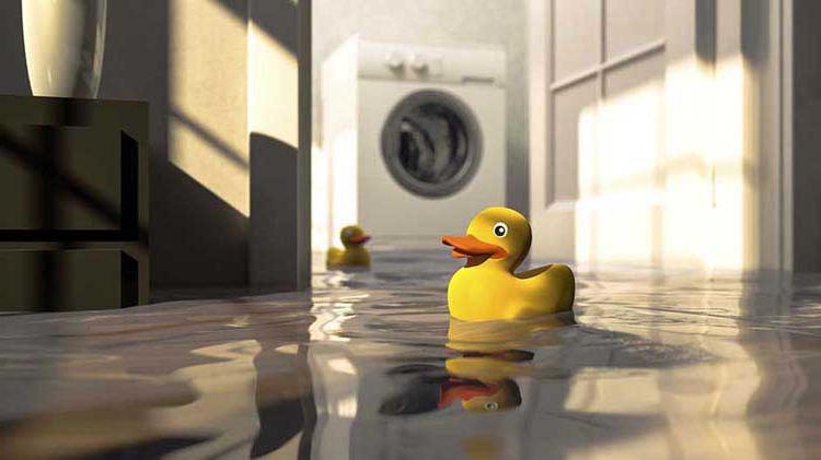 淹没了地下室 with rubber ducks floating.